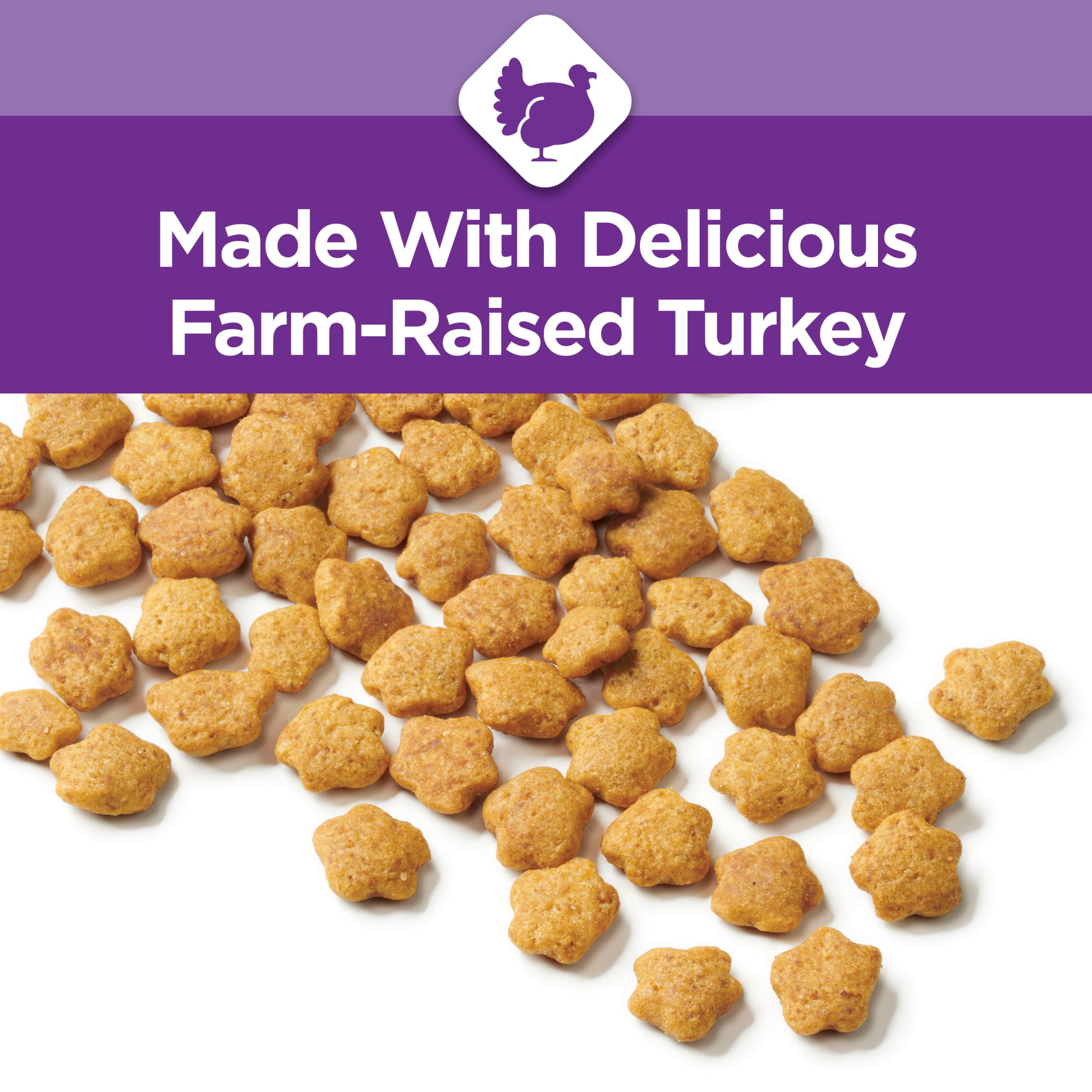 Turkey Dry Cat Food for Sensitive Stomachs