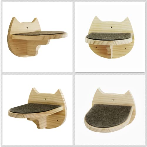 5 Cat Wall Shelves, Mounted Perch & Hammock