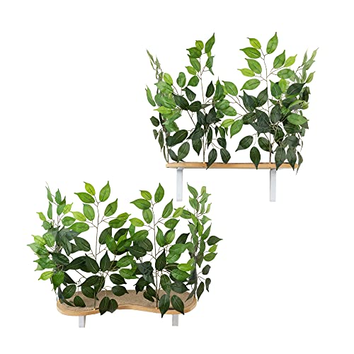 Zen Green Wall-Mounted Cat Shelves Set (Set of 2)