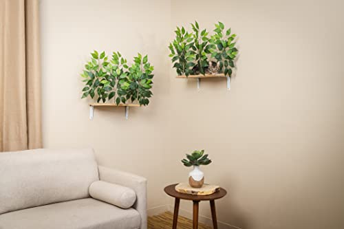 Wall-mount Cat Trees & Shelves Set