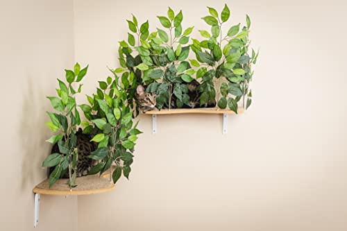 Wall-mount Cat Trees & Shelves Set