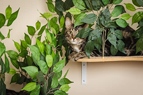 Wall-mount Cat Trees & Shelves Set