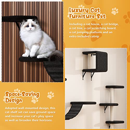 Wall-Mounted Cat Climber Set with Accessories, Black