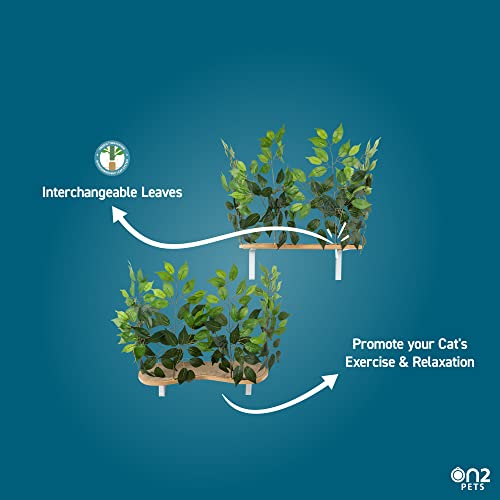 Wall-mount Cat Trees & Shelves Set