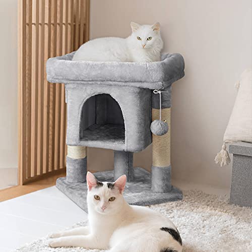 Huge Cat Tree with Scratching Posts & Condo