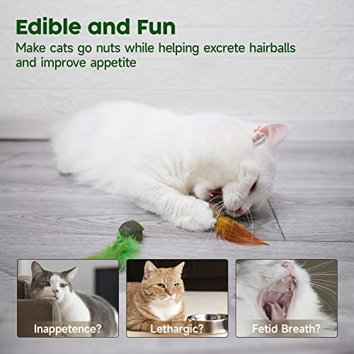 Catnip Mice & Feather Toy Set