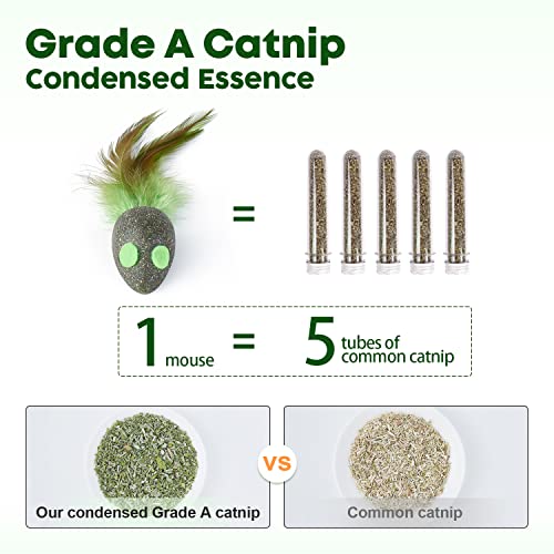 Catnip Mice & Feather Toy Set