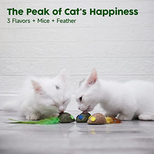 Catnip Mice & Feather Toy Set