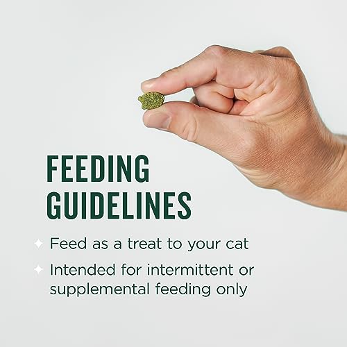 VetIQ Minties Dental Cat Treats Salmon Flavor 2.5