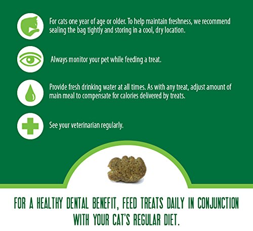 11 oz. Tub Feline Greenies Catnip Treats