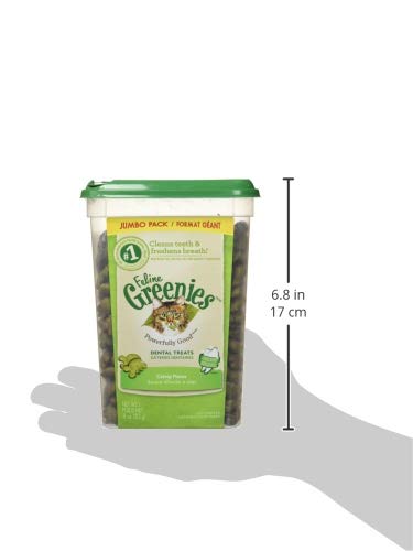 11 oz. Tub Feline Greenies Catnip Treats