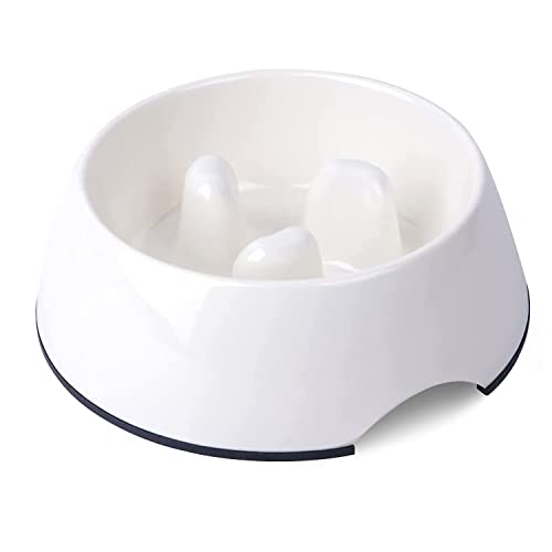 Slow Feeder for Cats - Anti-Gulping Bowl