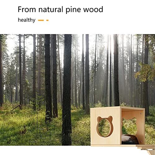 Complete Set of Cat Wall Shelves