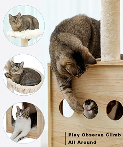 Modern Wood Cat Tree for Large Cats
