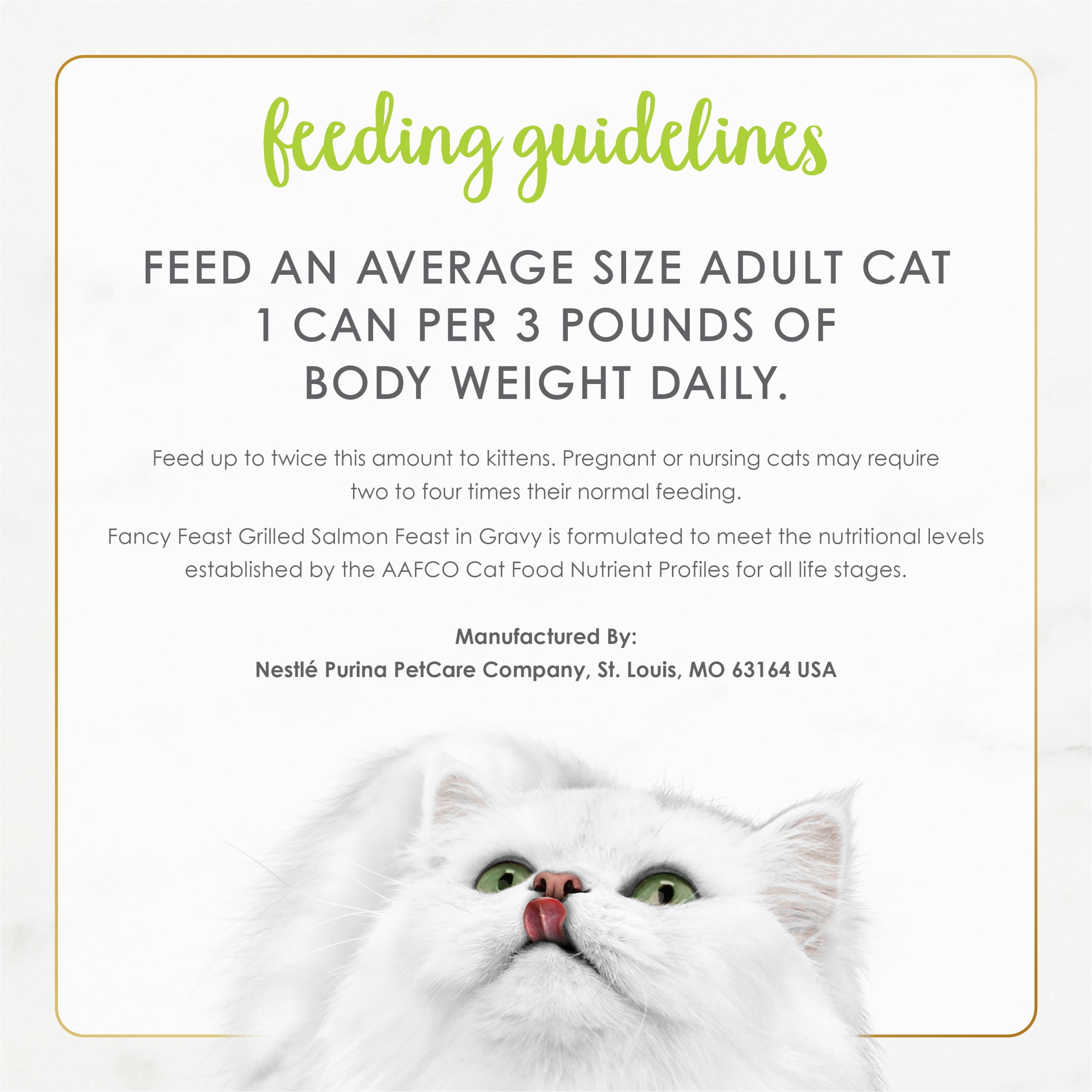 Salmon Grilled Gravy Cat Food Can