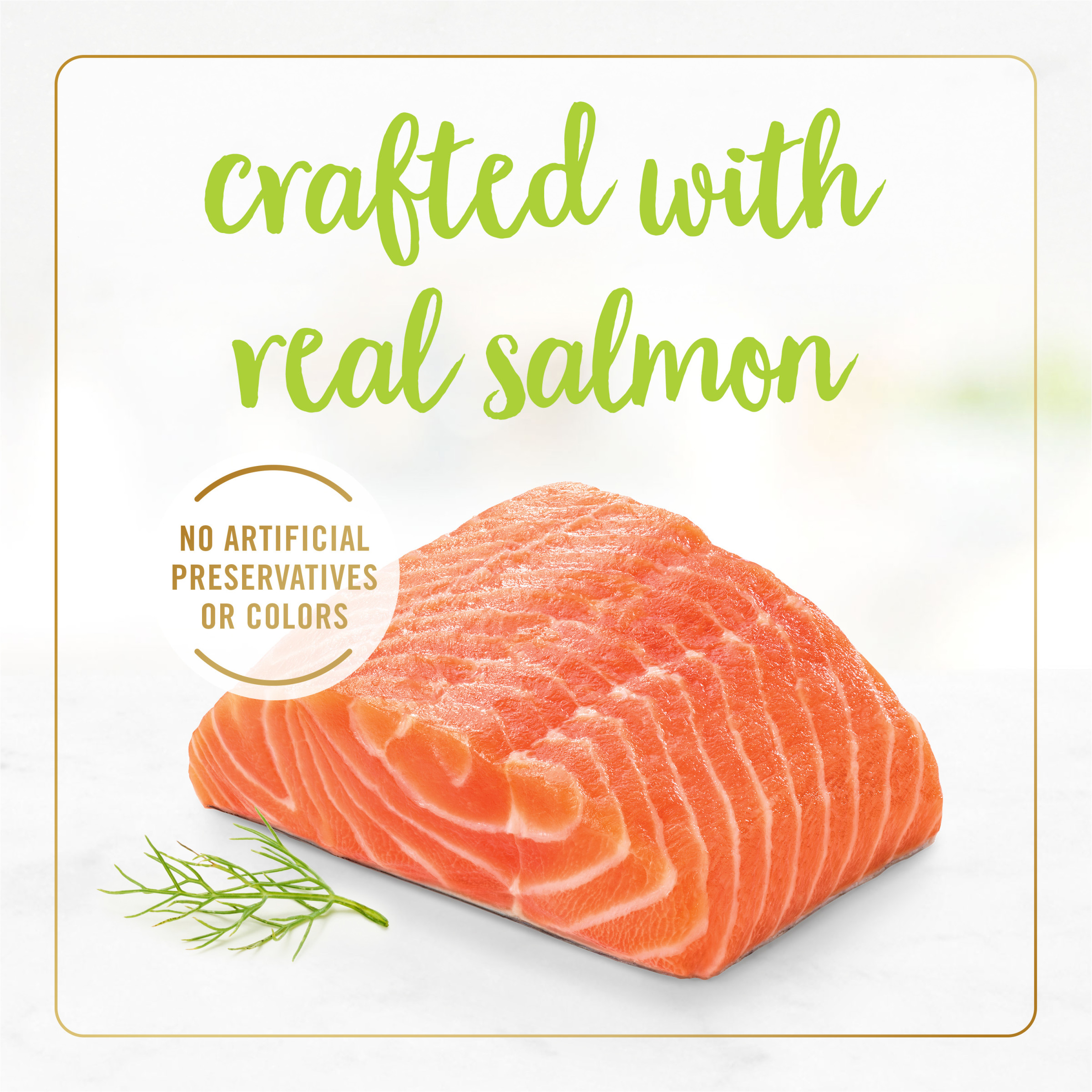 Salmon Grilled Gravy Cat Food Can