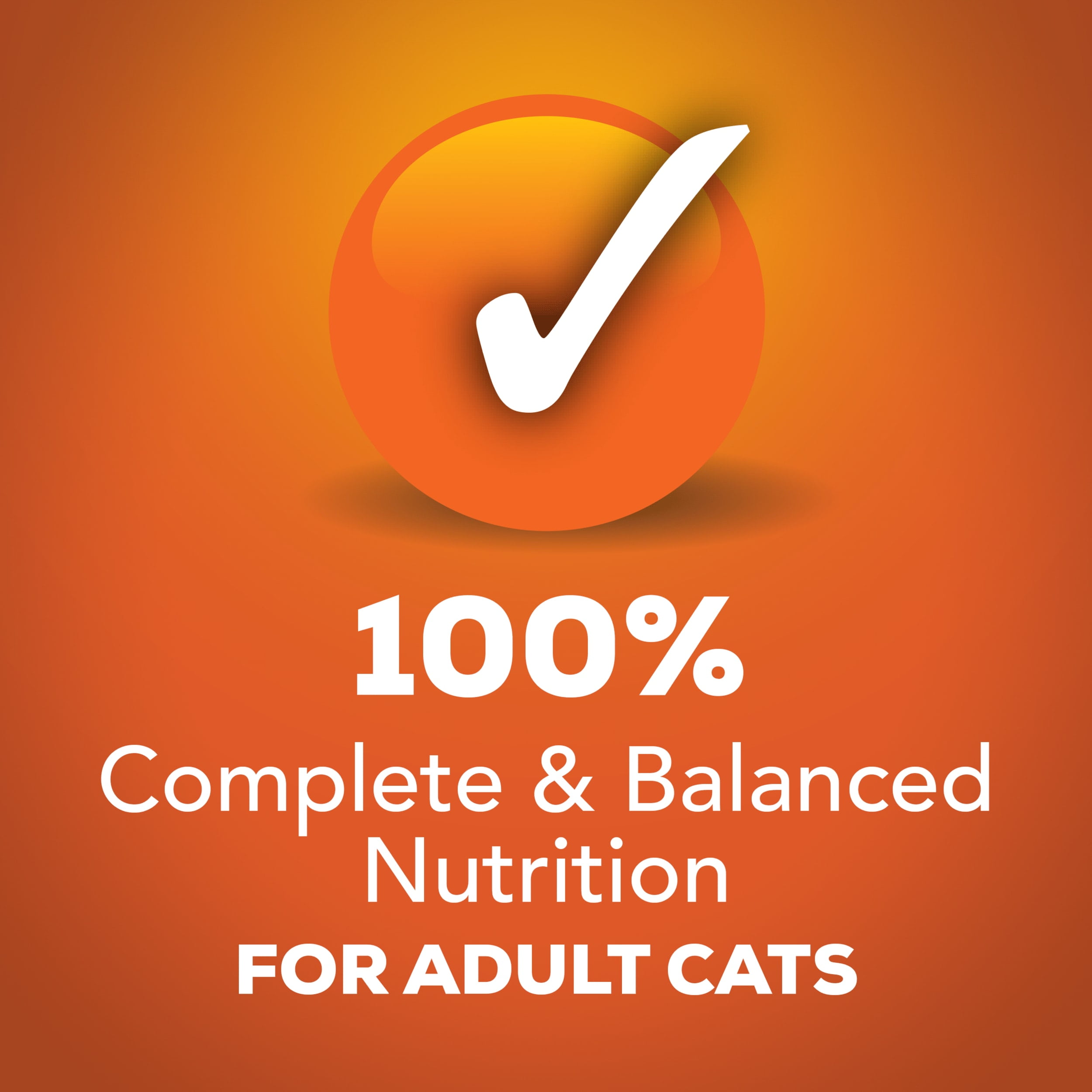 Friskies Chicken & Salmon Wet Cat Food Can