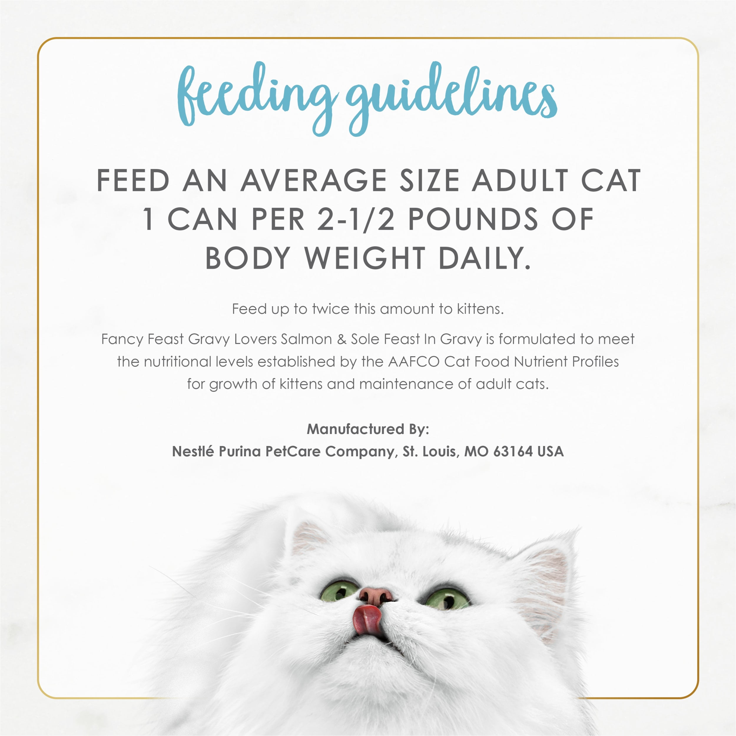 Salmon & Sole Gravy Cat Food, 3oz