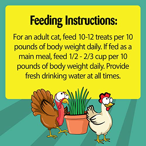 Clucky Carnival TEMPTATIONS Cat Treats, 5.29 oz