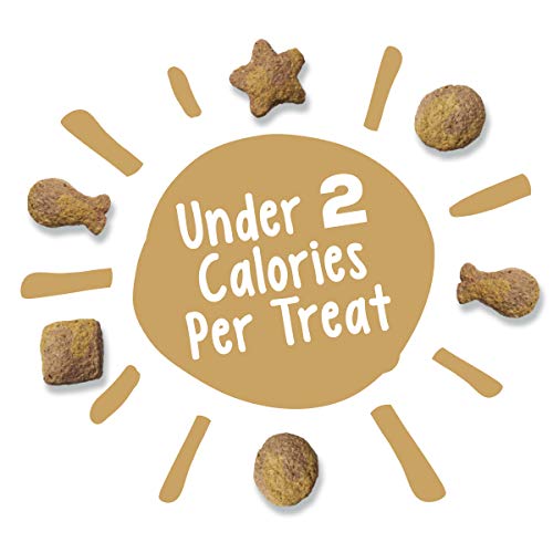 Chicken & Gravy Flavored Cat Treats - 20 oz