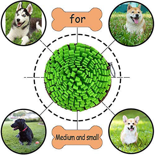 Snuffle Mat for Natural Foraging Skills