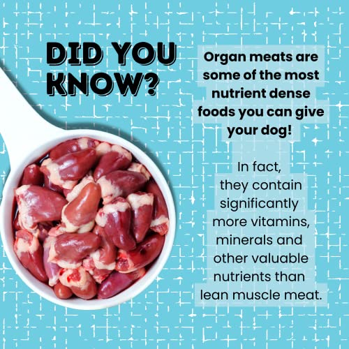 Freeze-Dried Chicken Treats for Cats & Dogs - 1LB Bag