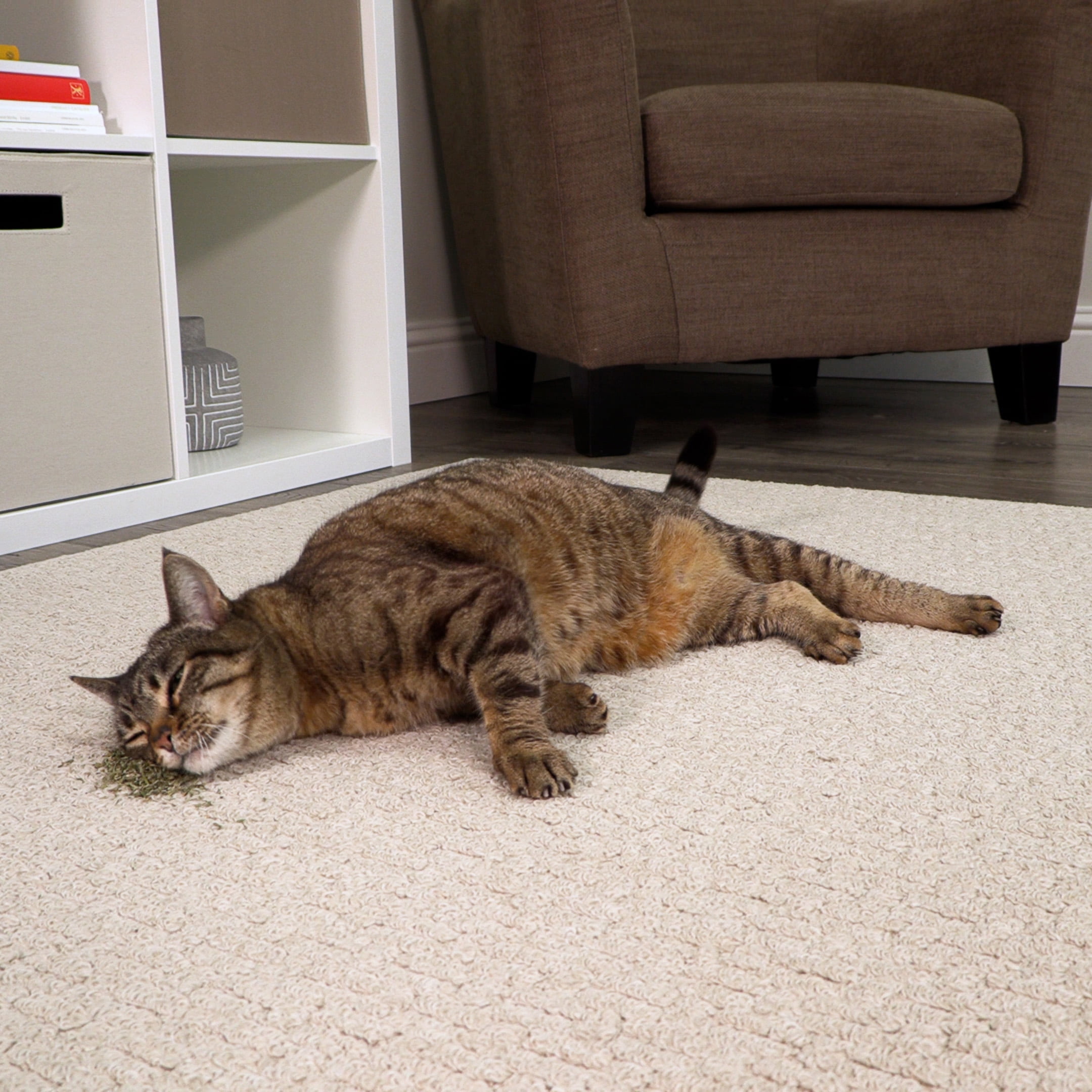 Resealable Pouch of SmartyKat Catnip Blend