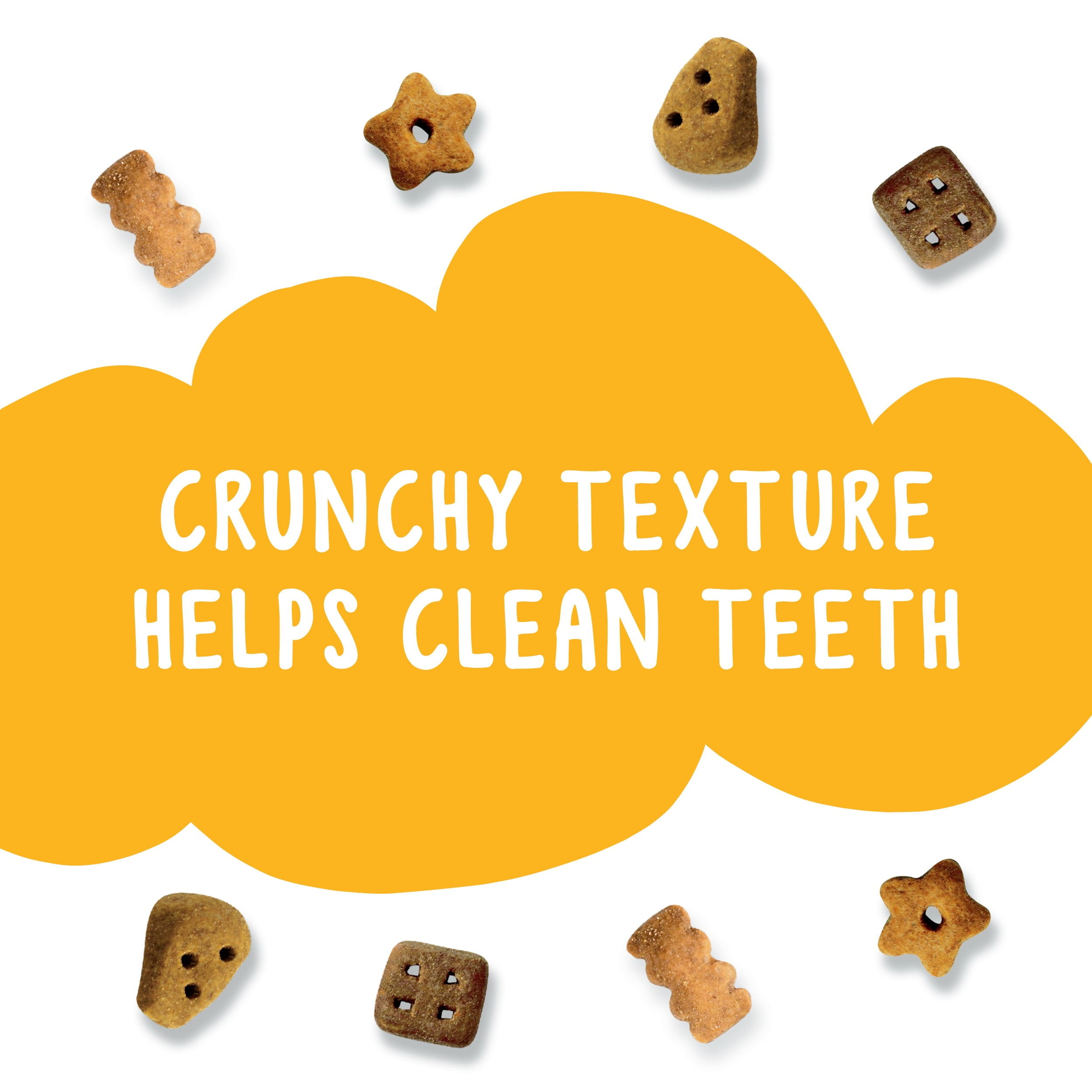 20oz Canister Purina Friskies Party Mix Cheddar Swiss & Monterey Jack Flavor for Cats