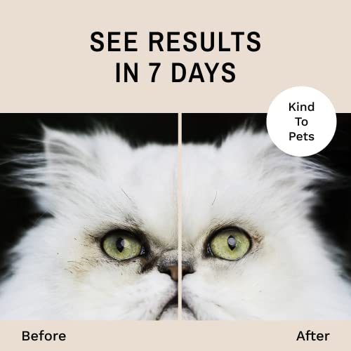 Eye Envy Tear Stain Wipes for Cats | 60 Ct