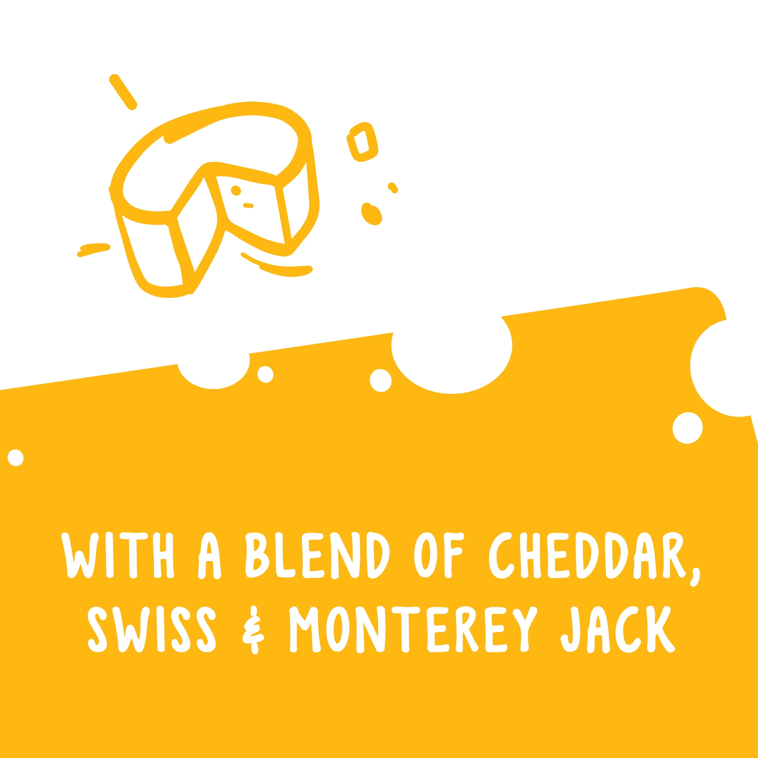 20oz Canister Purina Friskies Party Mix Cheddar Swiss & Monterey Jack Flavor for Cats