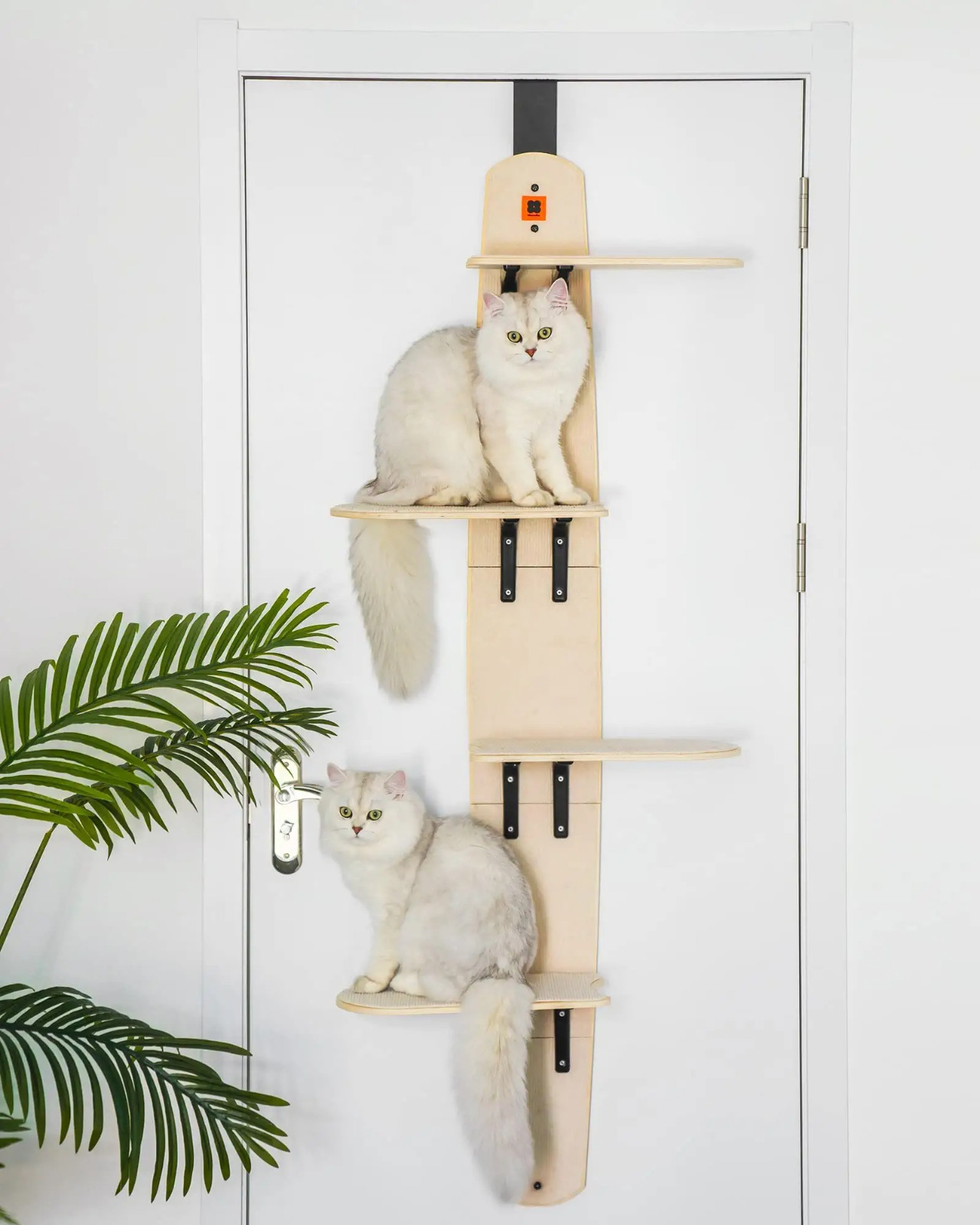 Eco-friendly Cat Climber & Bed Shelves