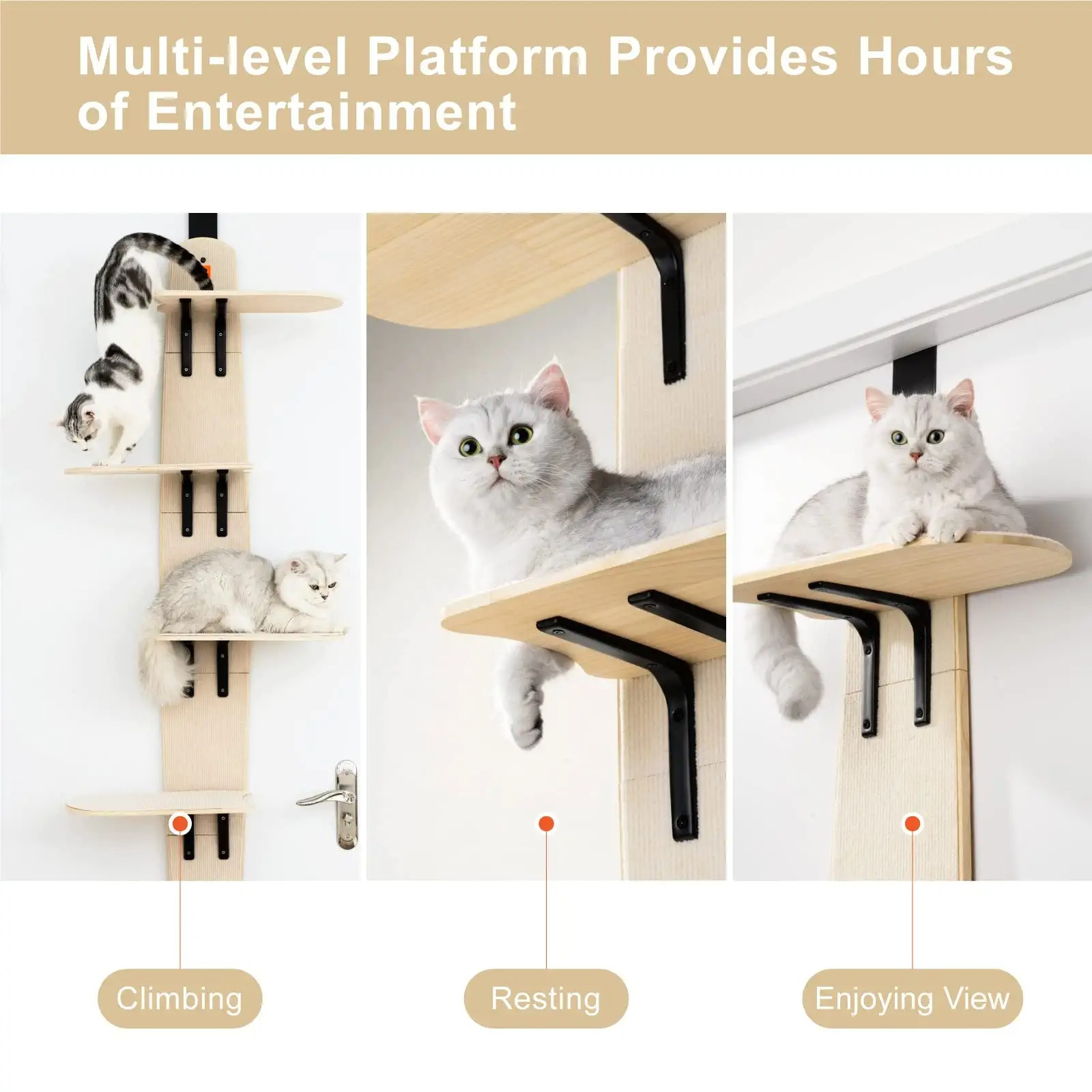 Eco-friendly Cat Climber & Bed Shelves