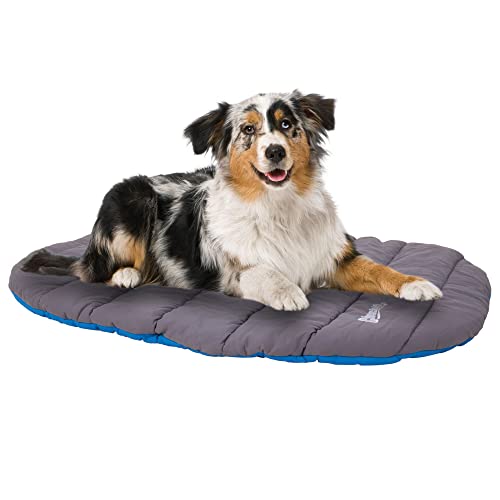 Chuckit! Portable Dog Bed, Blue