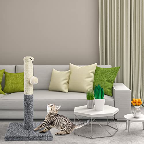 Ahomdoo 20.5" Cat Scratching Post with Ball Toy