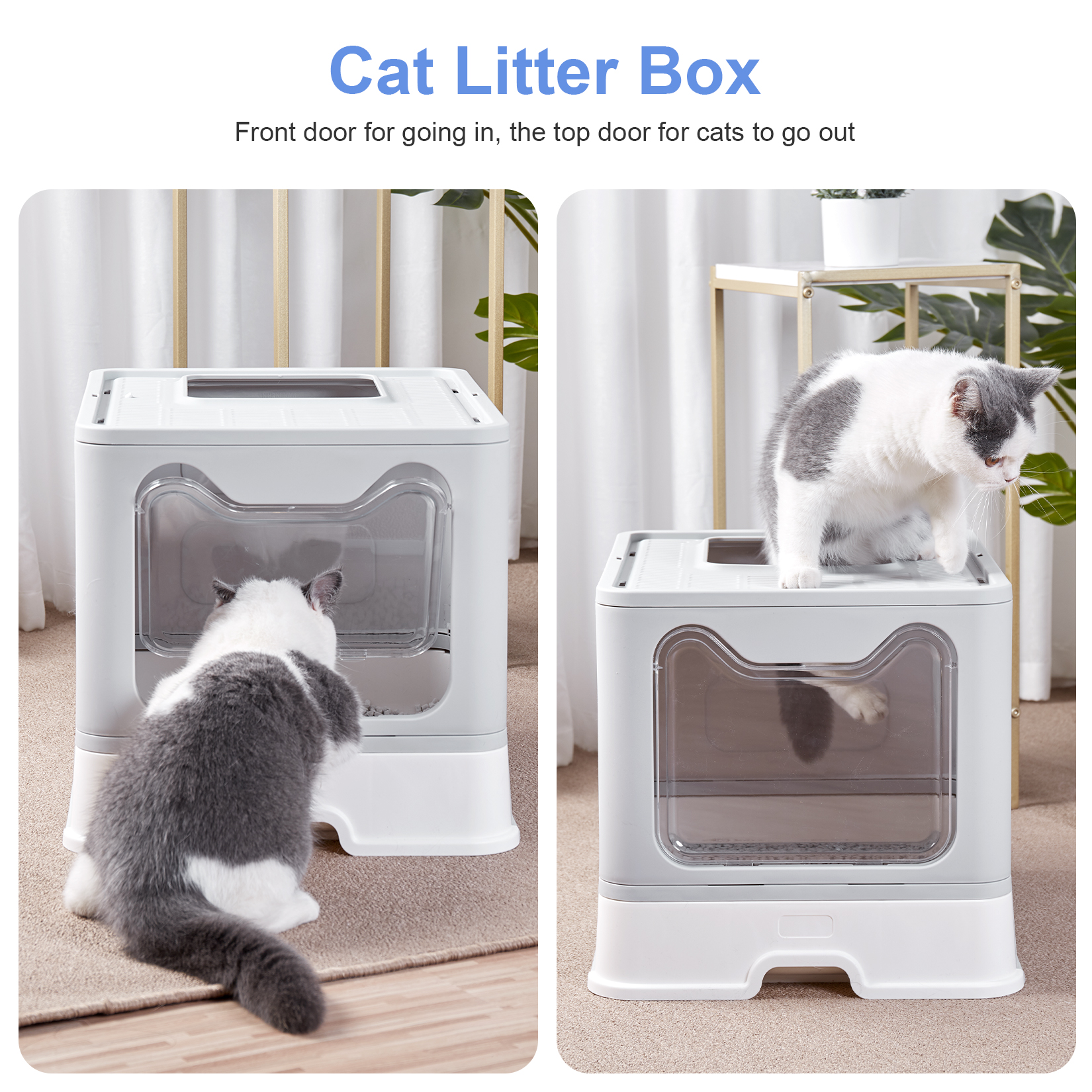 Foldable Top Exit Cat Litter Box with Lid