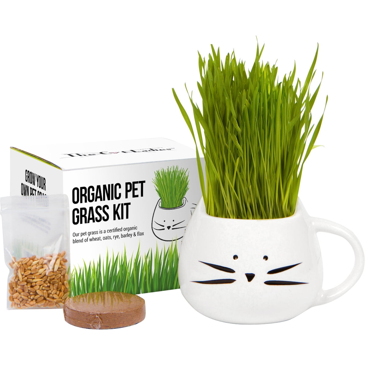 Organic Cat Grass Growing Kit with Planter