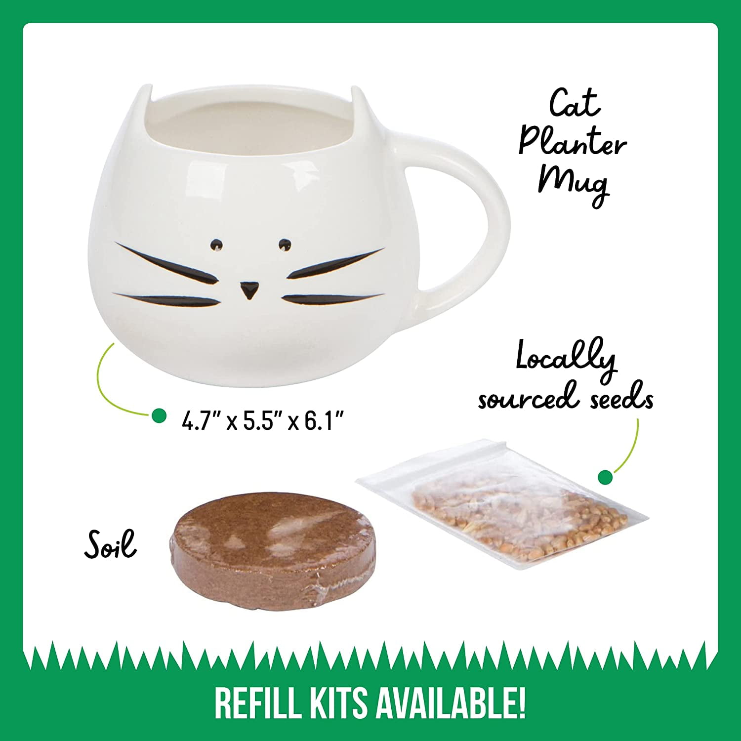 Organic Cat Grass Growing Kit with Planter