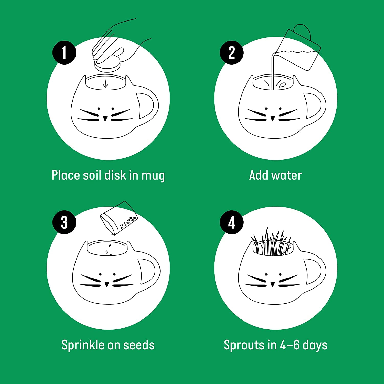 Organic Cat Grass Growing Kit with Planter