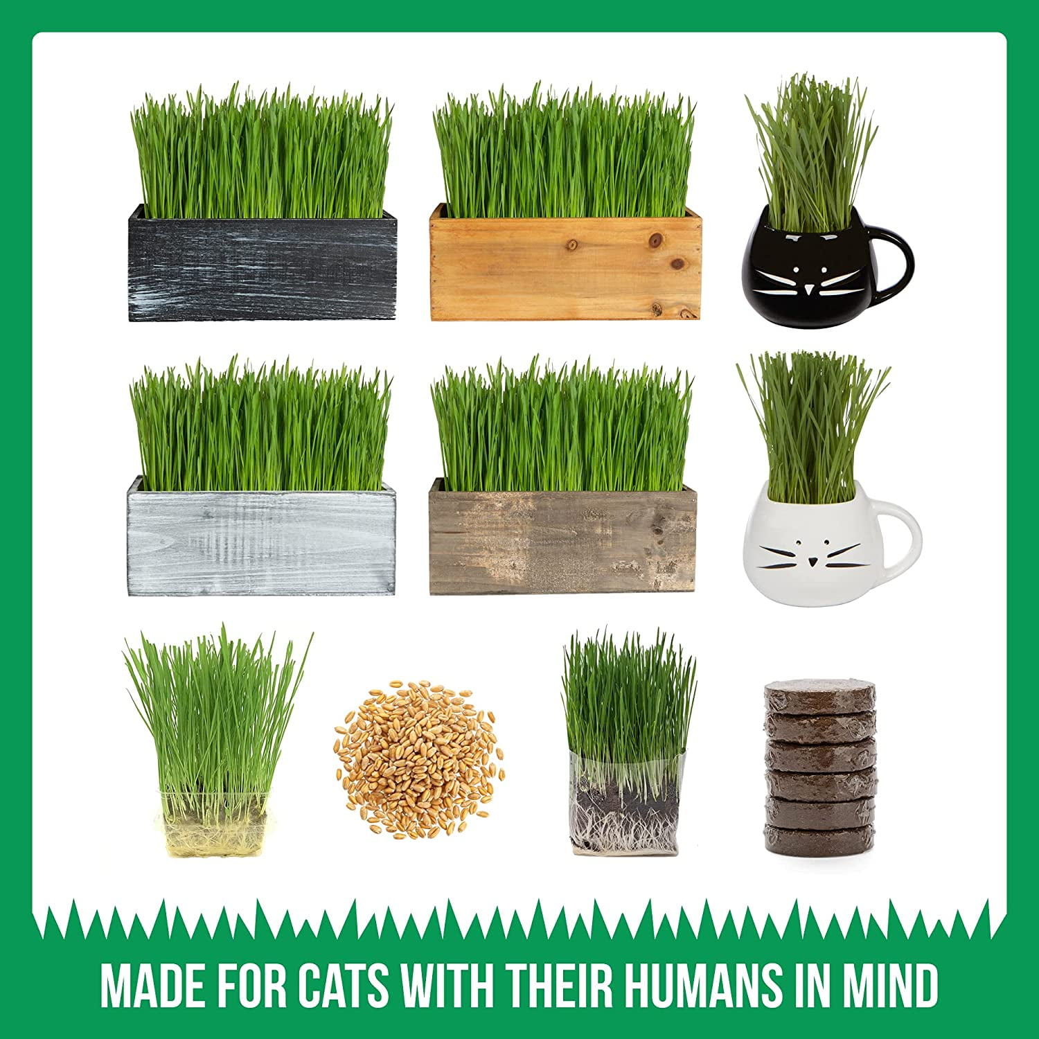 Organic Cat Grass Growing Kit with Planter