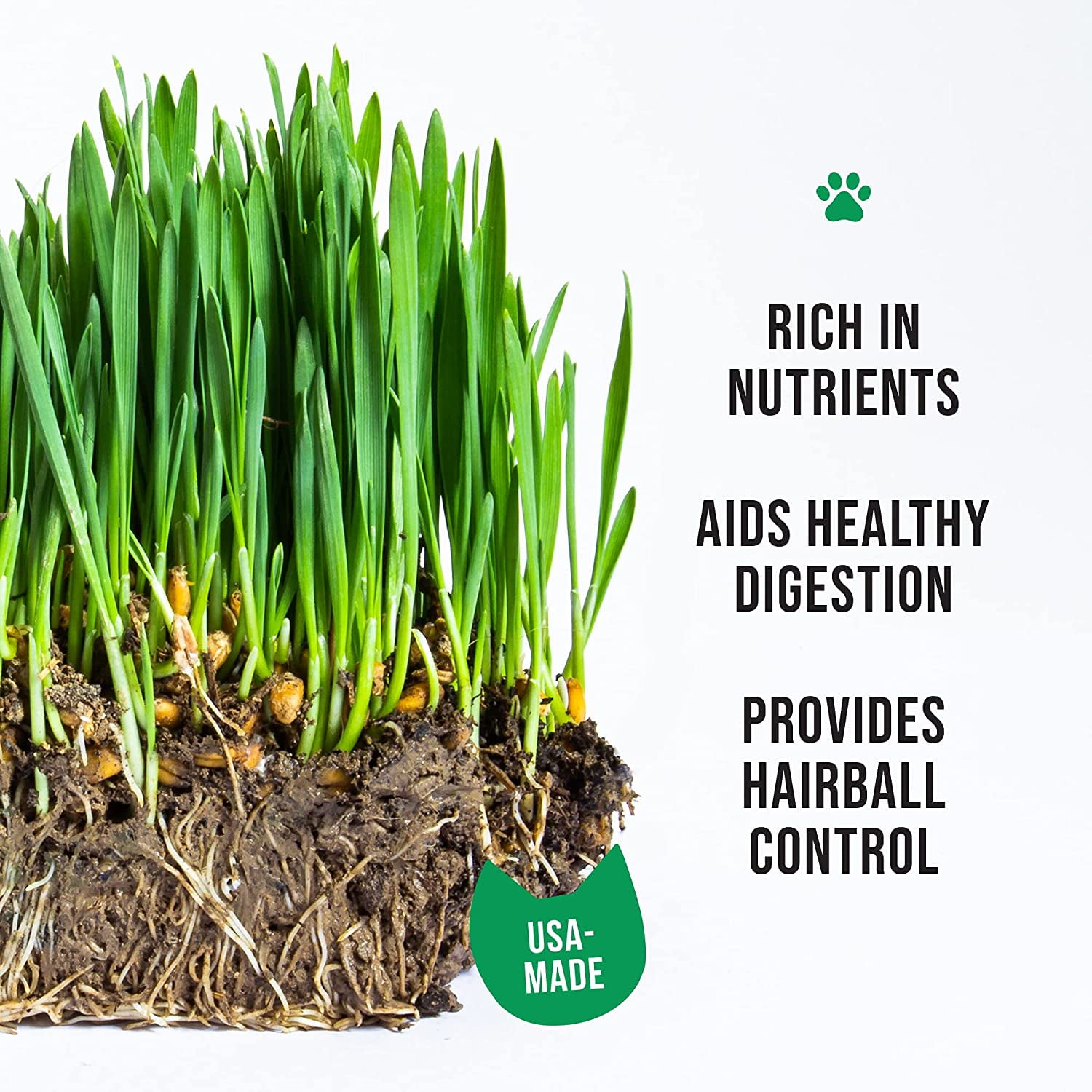 Organic Cat Grass Growing Kit with Planter