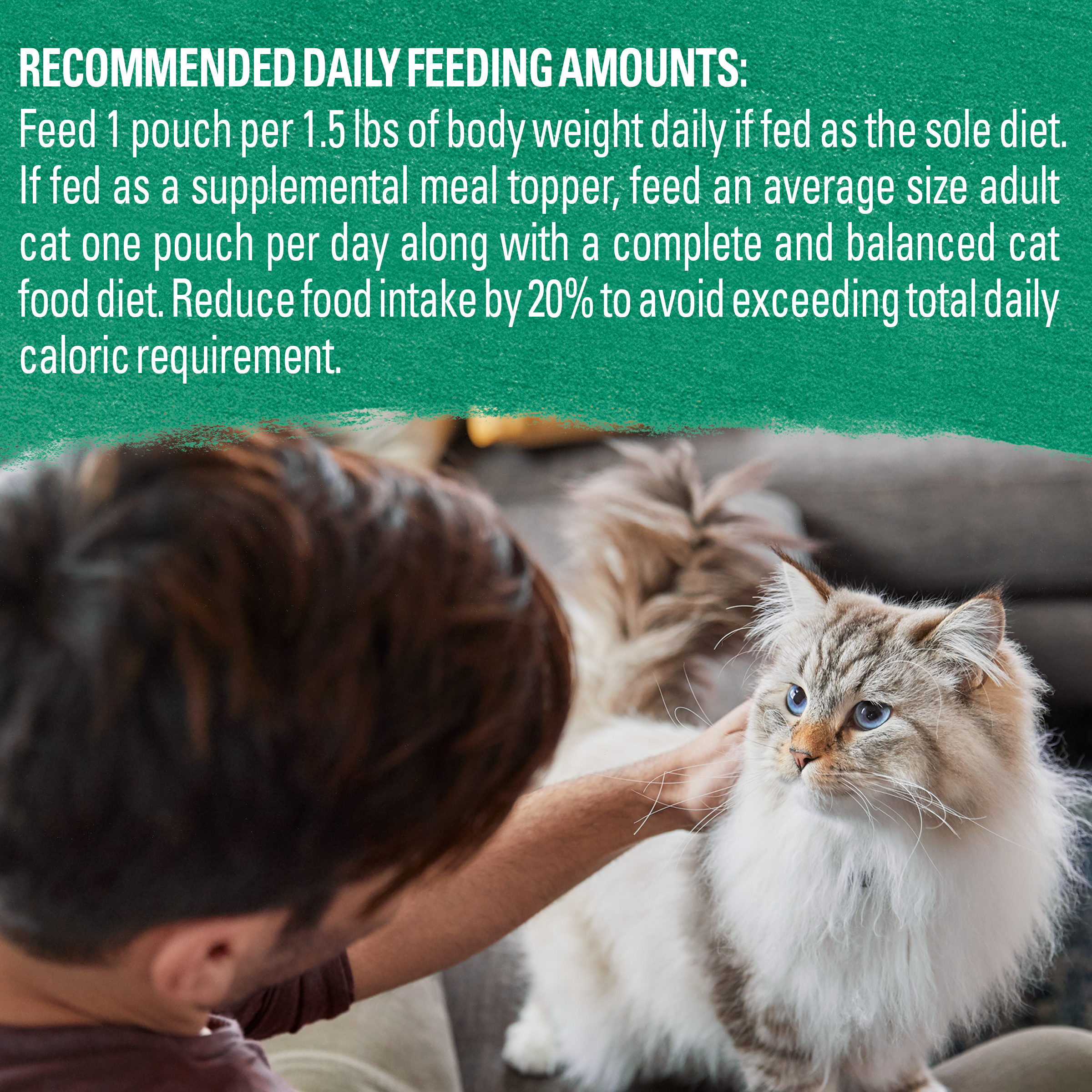 Cod Flavor Wet Cat Food (16 Pouches)