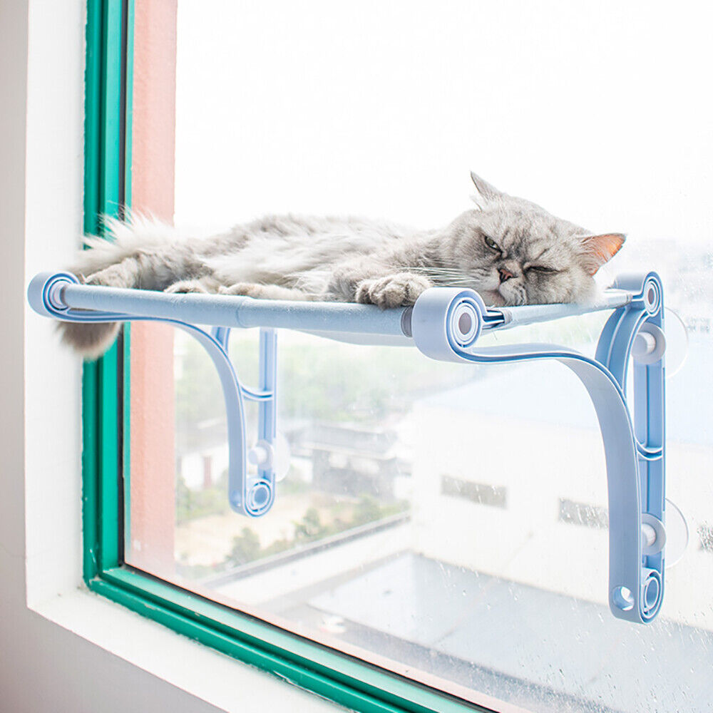 Suction Cup Cat Window Perch