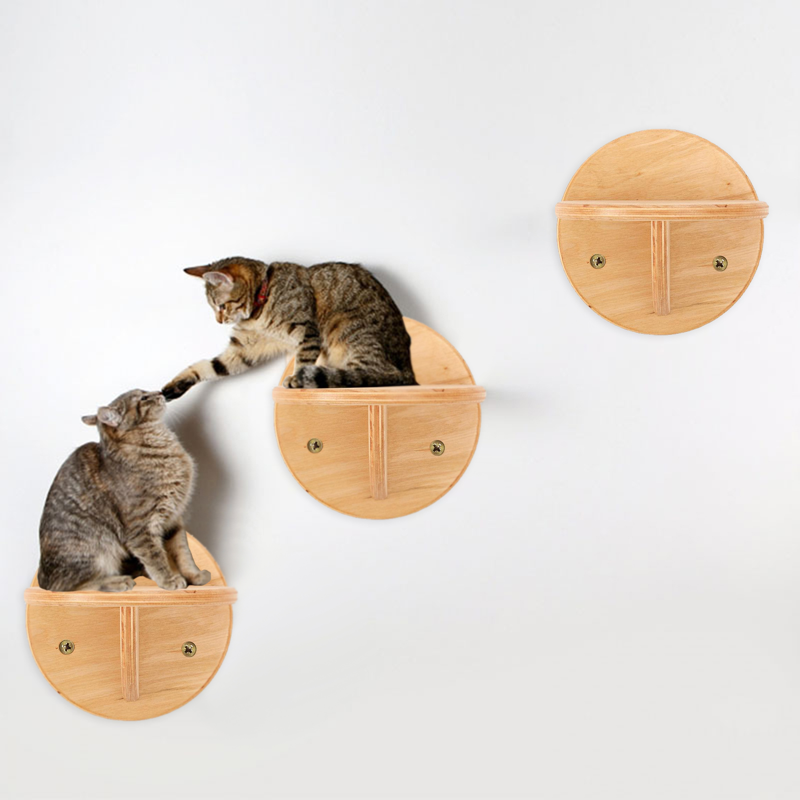 Wall mounted cat shelf with hammock