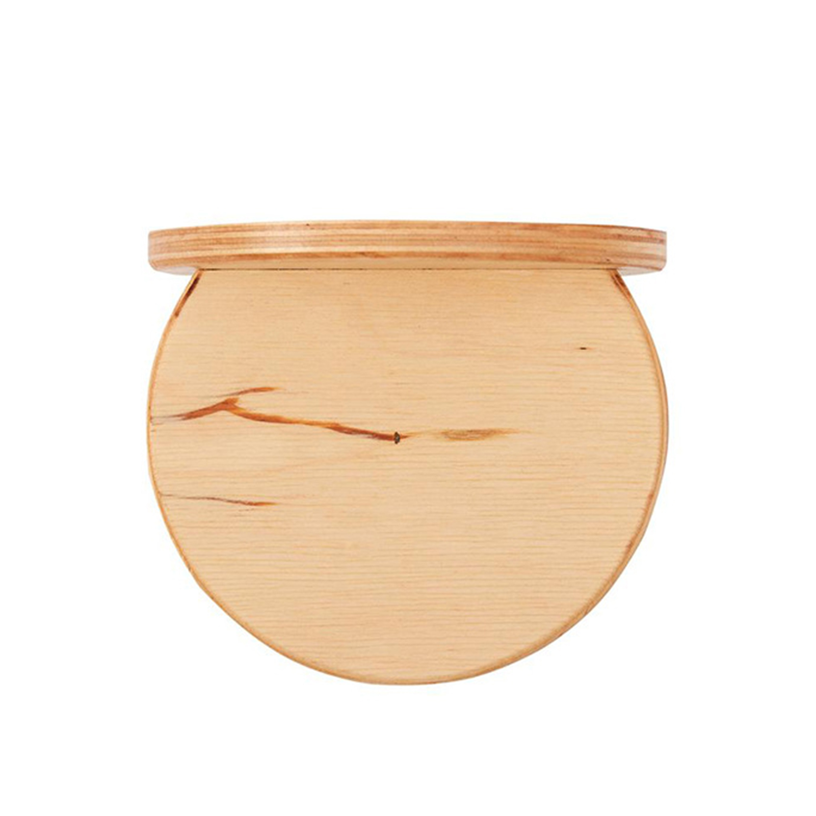 Wall mounted cat shelf with hammock