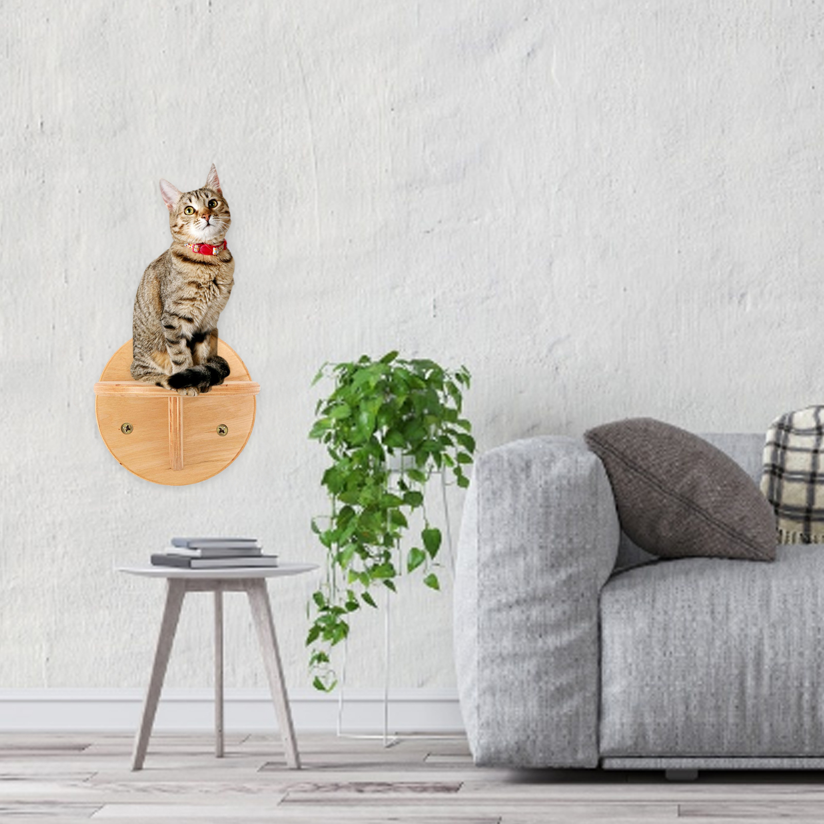 Wall mounted cat shelf with hammock