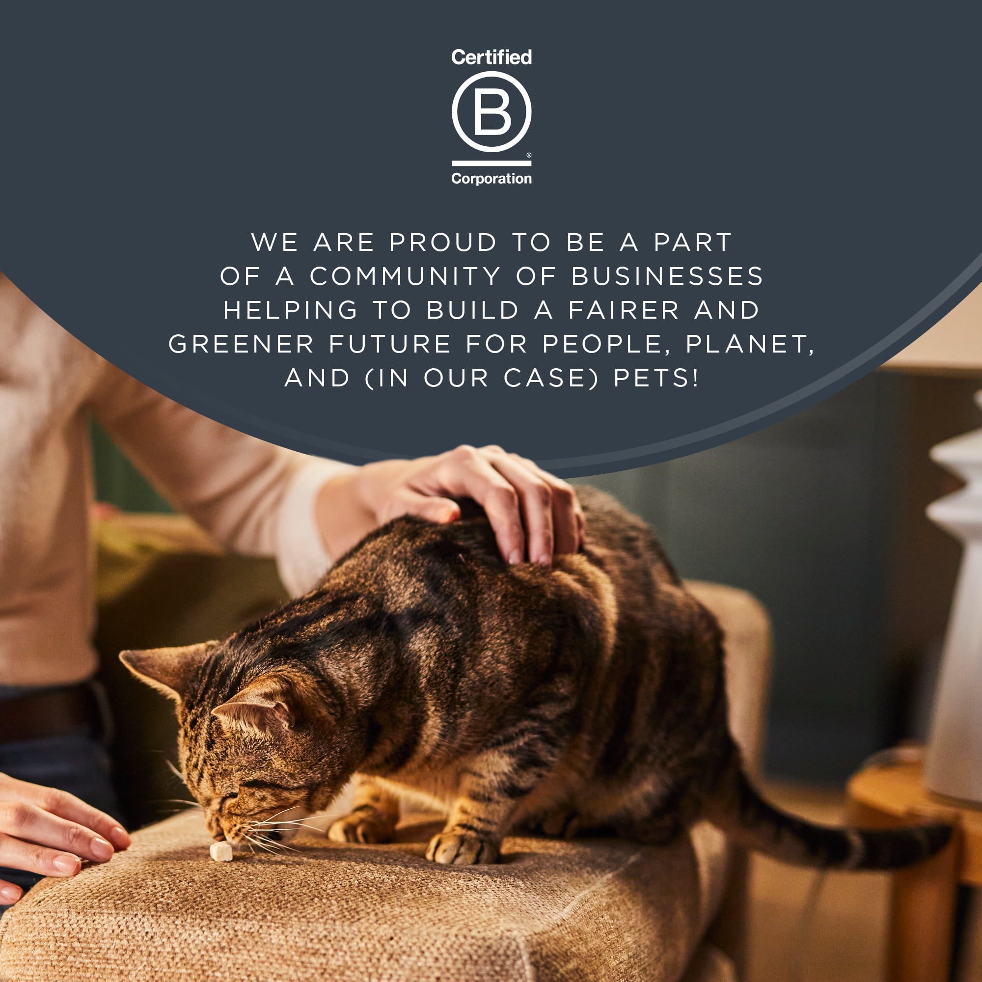 Reveal Natural Cat Treat, Whole Tuna Loin, 1.06 oz