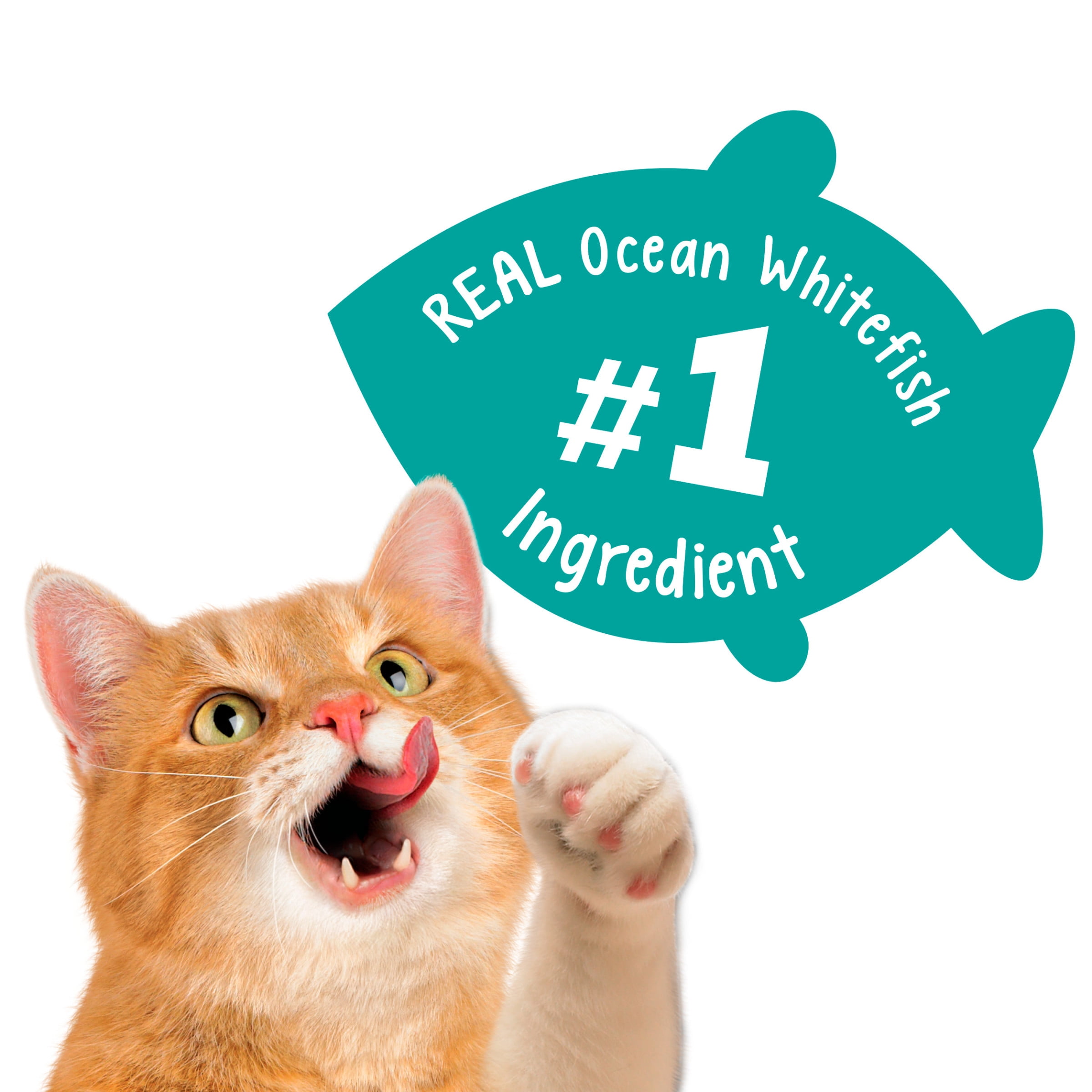 Meow Luau Crunch Cat Treats 2.1oz