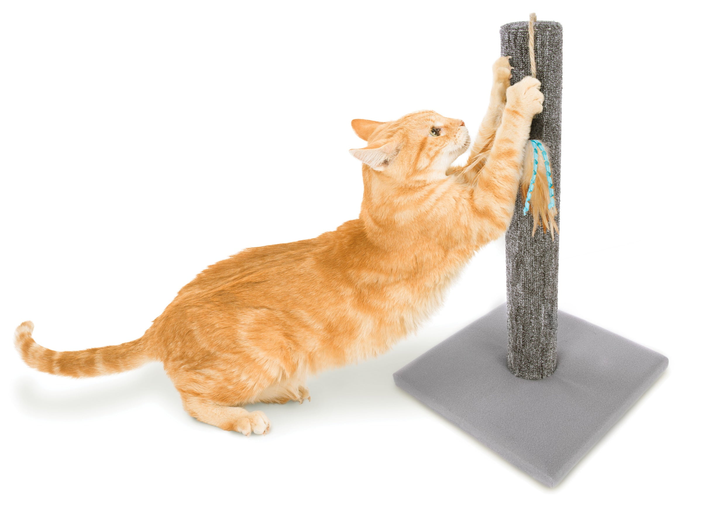 Feathered Post: Cat Scratch and Play