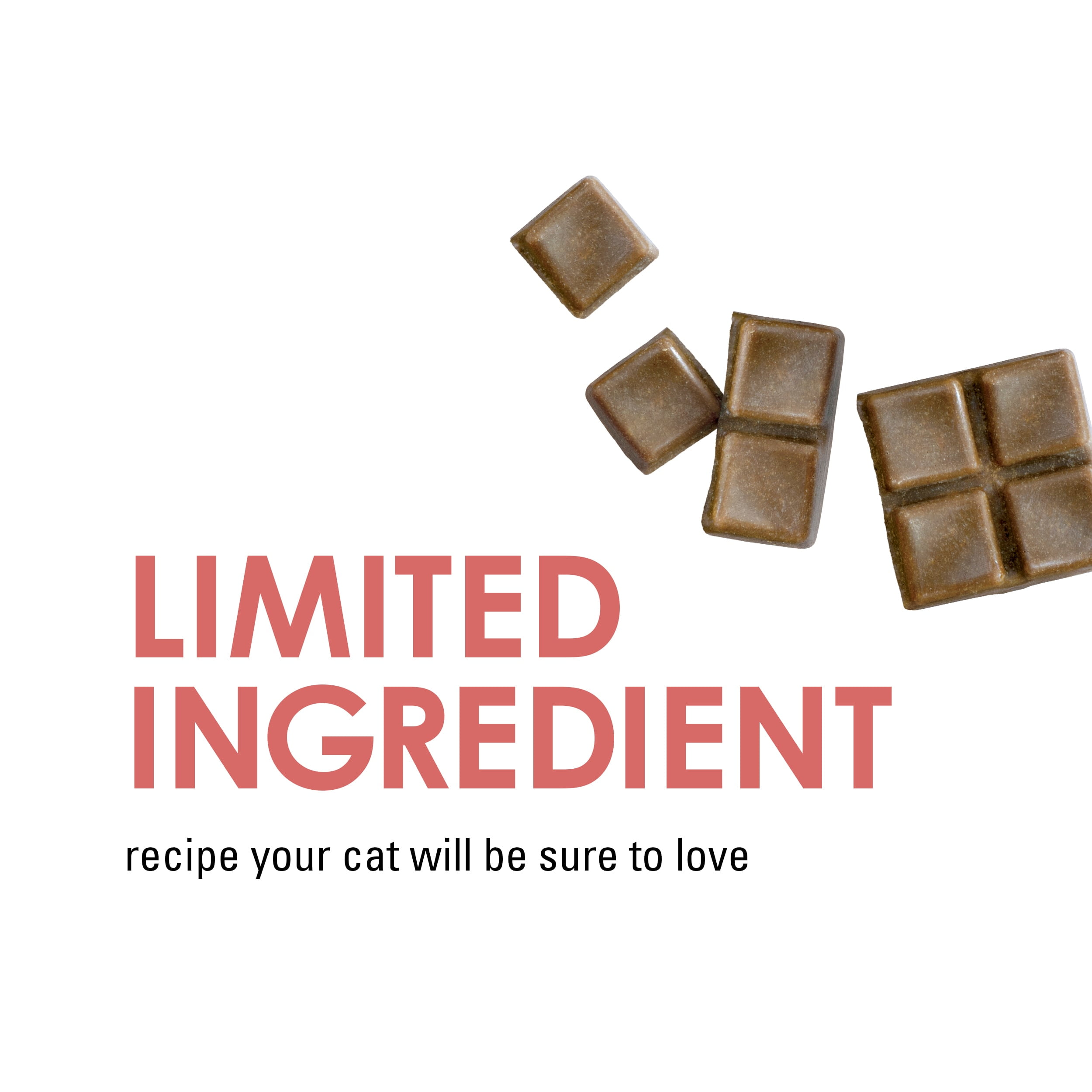 Fancy Feast Salmon Flavor Cat Treats - 1 oz