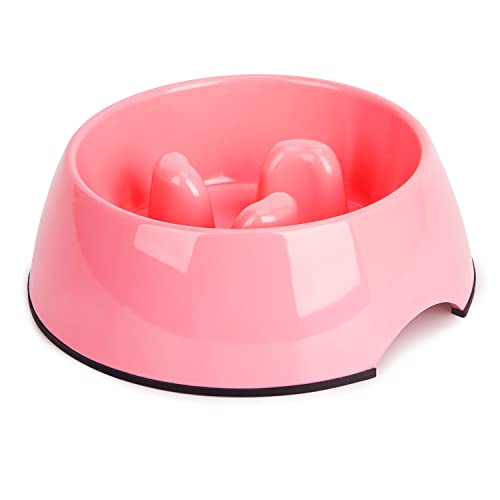 Anti-Gulping Slow Feeder Cat Bowl